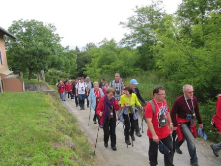Pomlad v prleških goricah 2013 20